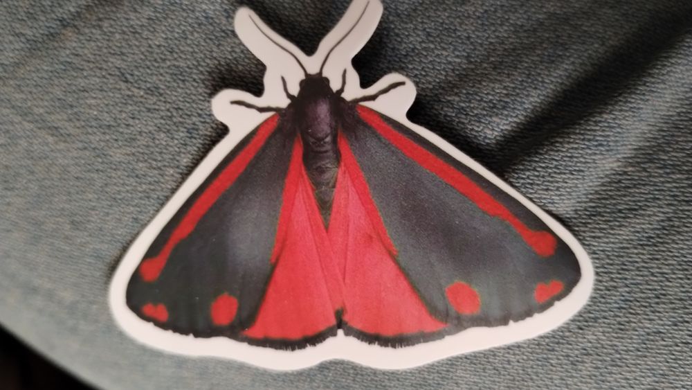 Butterfly Sticker